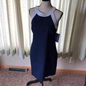 [Lauren James] NWT Navy Blue Preppy Dress Med
